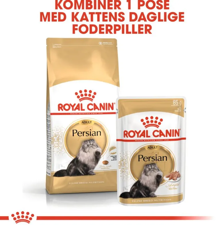 Royal Canin Persian Adult
