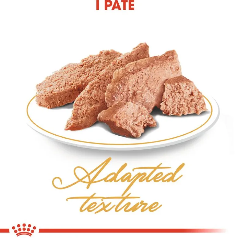 Royal Canin Persian Adult Mousse