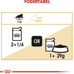 Royal Canin Persian Adult Mousse