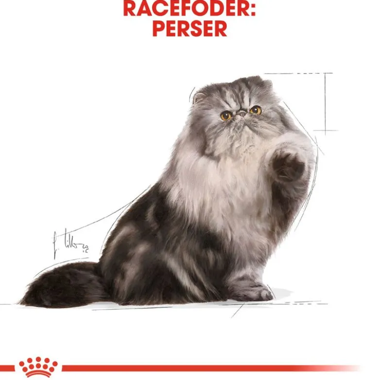 Royal Canin Persian Adult Mousse