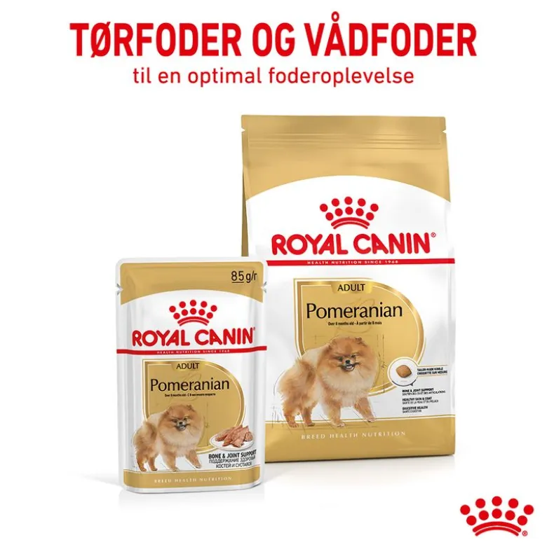 Royal Canin Pomeranian Adult