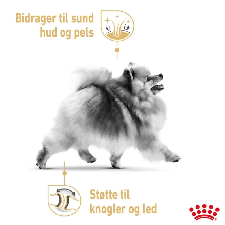Royal Canin Pomeranian Adult Mousse