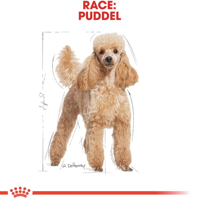 Royal Canin Poodle Adult