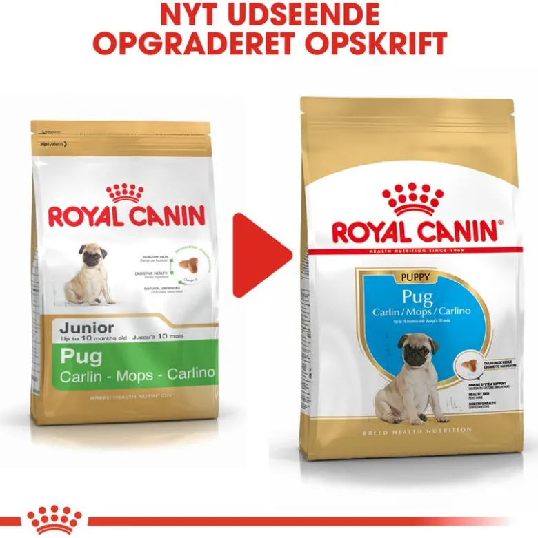 Royal Canin Pug Puppy
