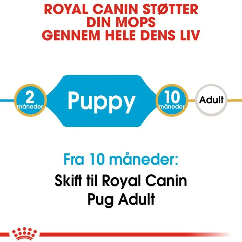 Royal Canin Pug Puppy