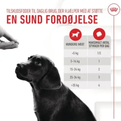 Royal Canin Puppy Immunity & Digestion Supplement Chews