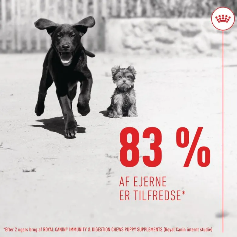 Royal Canin Puppy Immunity & Digestion Supplement Chews