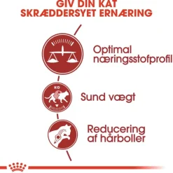 Royal Canin Regular Fit
