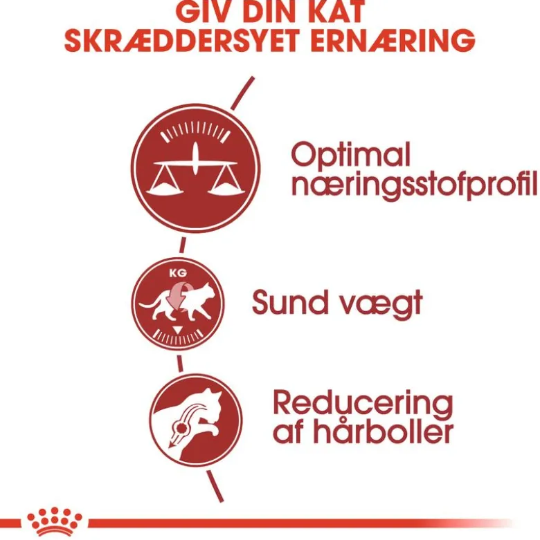 Royal Canin Regular Fit