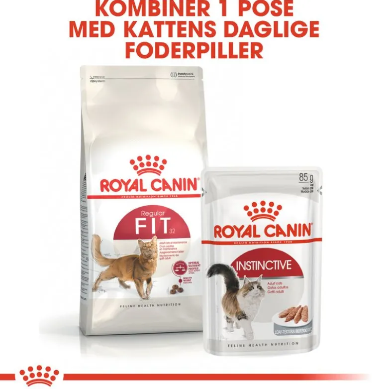 Royal Canin Regular Fit