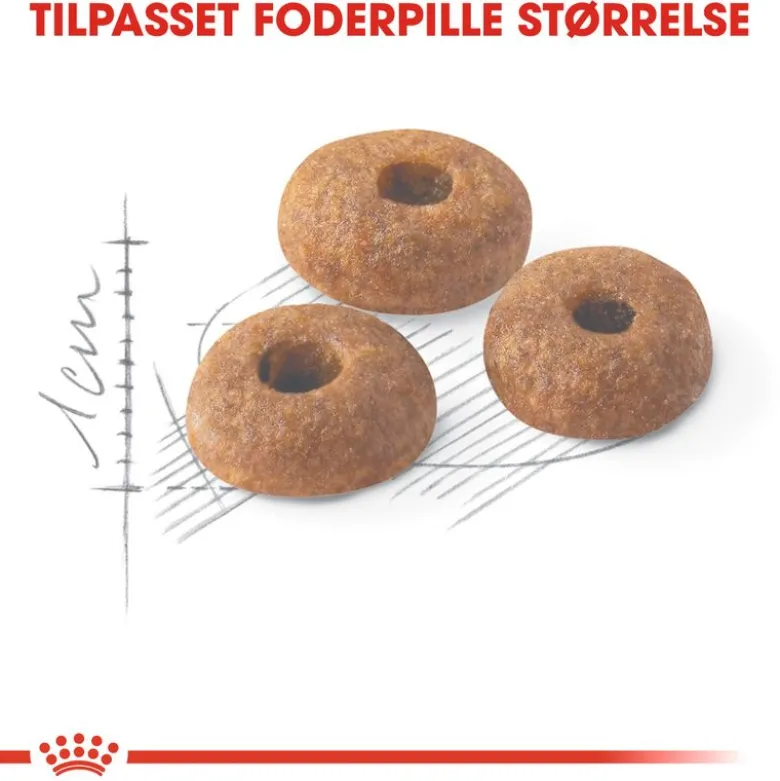 Royal Canin Regular Fit
