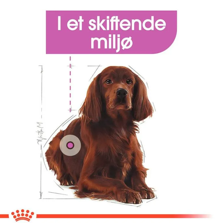 Royal Canin Relax Care Medium
