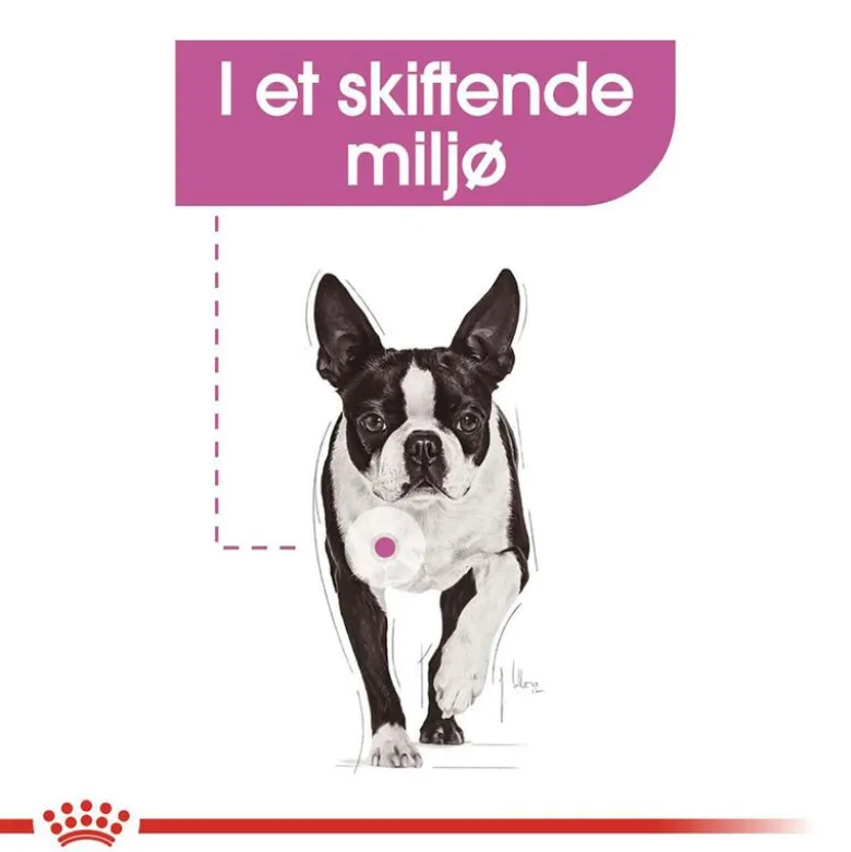 Royal Canin Relax Care Mini