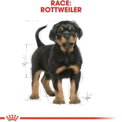 Royal Canin Rottweiler Puppy