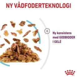 Royal Canin Sensory Feel i gelé