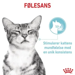 Royal Canin Sensory Feel i gelé