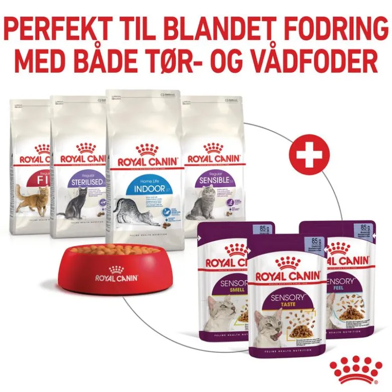 Royal Canin Sensory Feel i gelé
