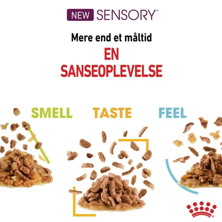 Royal Canin Sensory Feel i gelé
