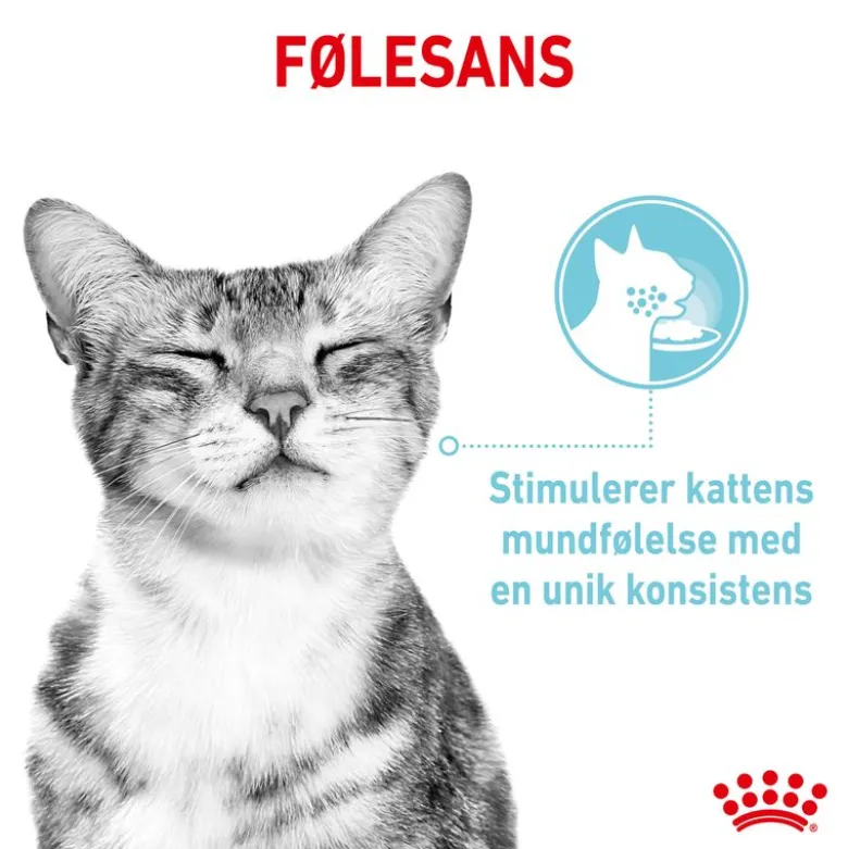 Royal Canin Sensory Feel i sauce