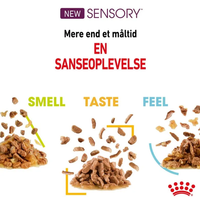 Royal Canin Sensory Feel i sauce