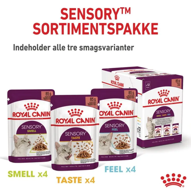 Royal Canin Sensory Smell i gelé