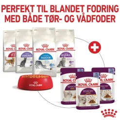 Royal Canin Sensory Smell i gelé