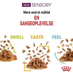 Royal Canin Sensory Smell i gelé