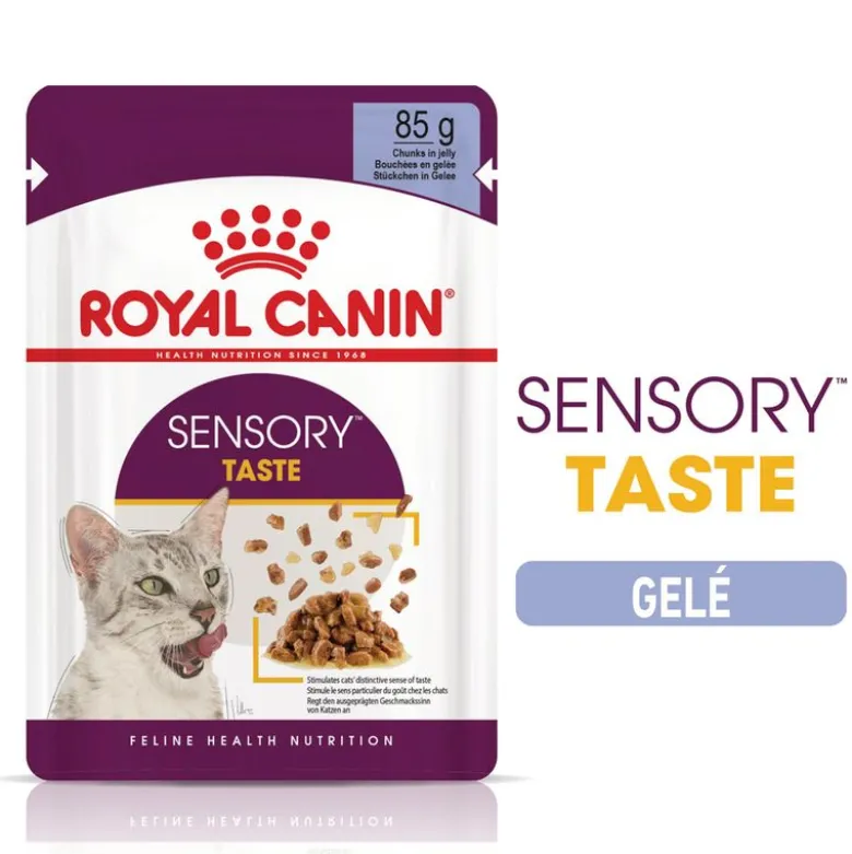 Royal Canin Sensory Taste i gelé