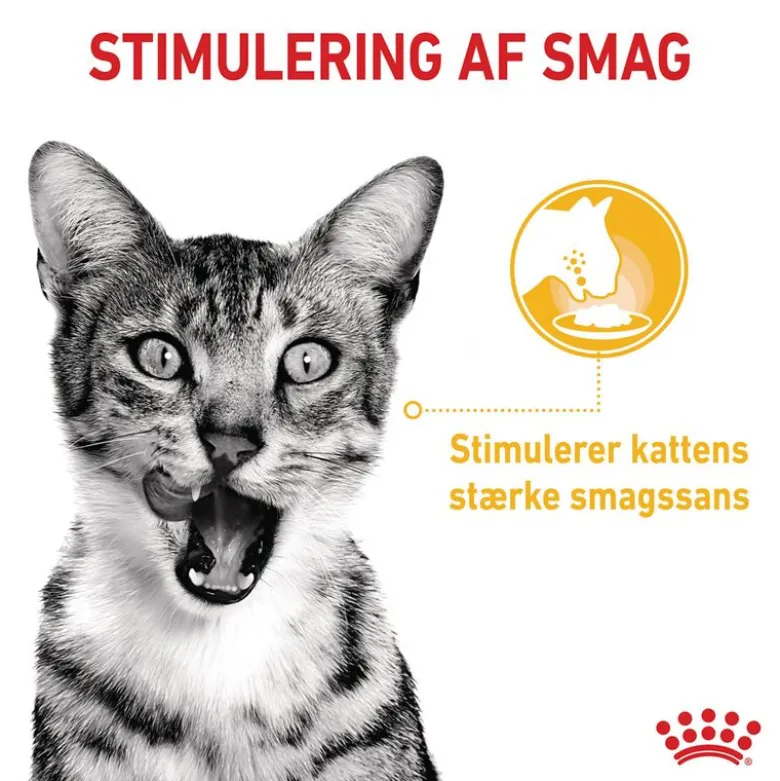 Royal Canin Sensory Taste i gelé