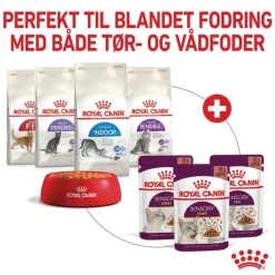 Royal Canin Sensory Taste i gelé