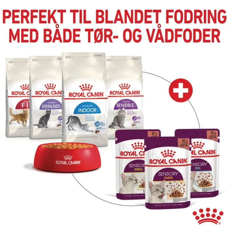 Royal Canin Sensory Taste i gelé