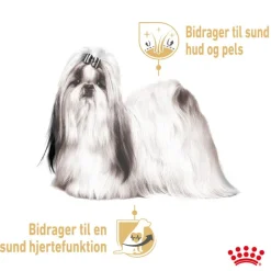 Royal Canin Shih Tzu Adult Mousse