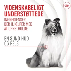 Royal Canin Skin & Coat Adult supplement tyggesnacks