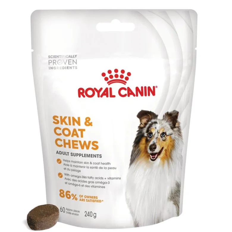 Royal Canin Skin & Coat Adult supplement tyggesnacks
