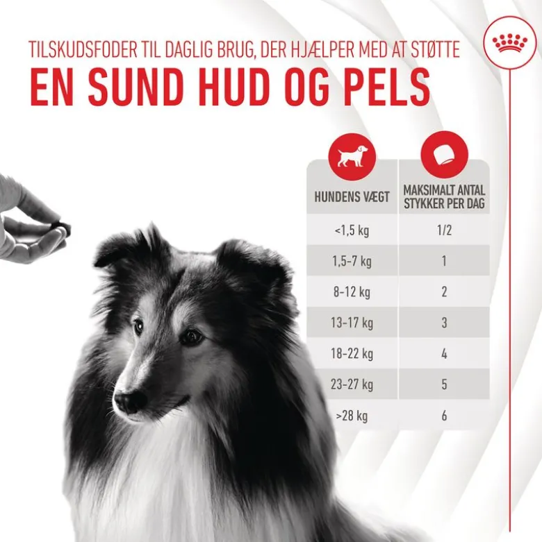 Royal Canin Skin & Coat Adult supplement tyggesnacks