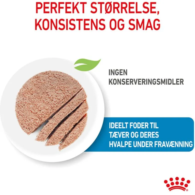 Royal Canin Starter Mother & Babydog Ultra Soft Mousse