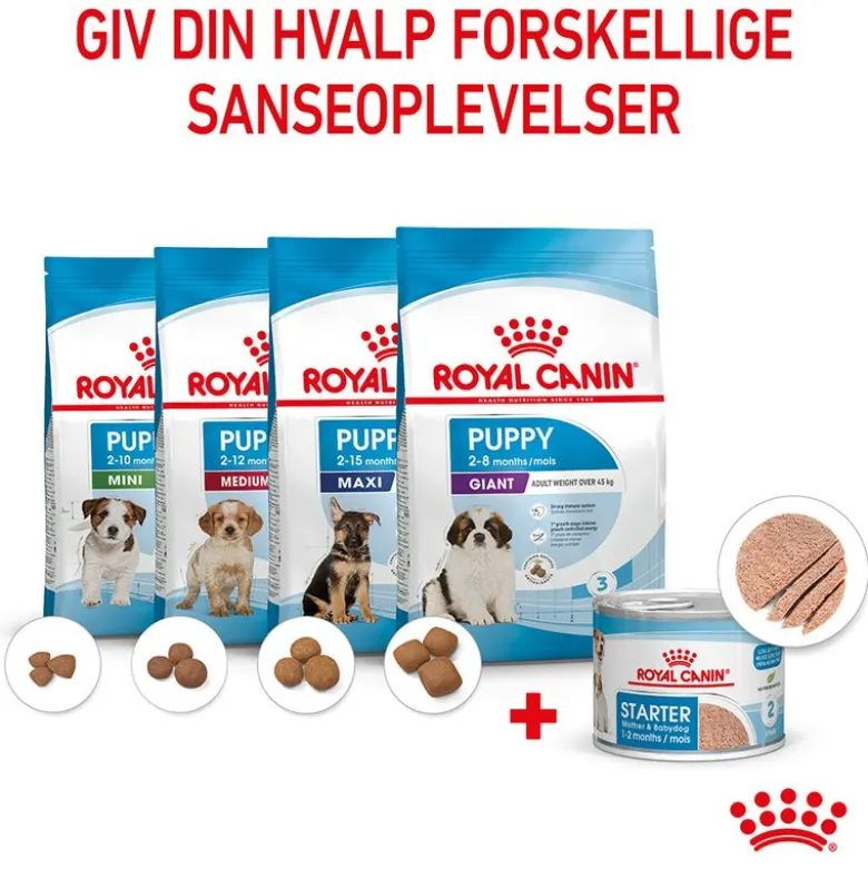 Royal Canin Starter Mother & Babydog Ultra Soft Mousse