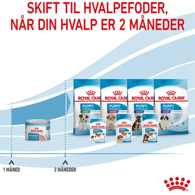 Royal Canin Starter Mother & Babydog Ultra Soft Mousse