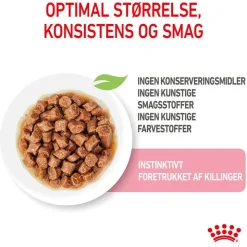 Royal Canin Sterilised Kitten i sauce