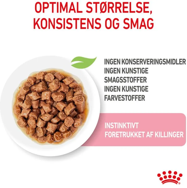 Royal Canin Sterilised Kitten i sauce