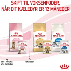 Royal Canin Sterilised Kitten i sauce