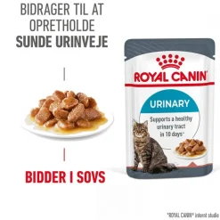 Royal Canin Urinary Care i sauce