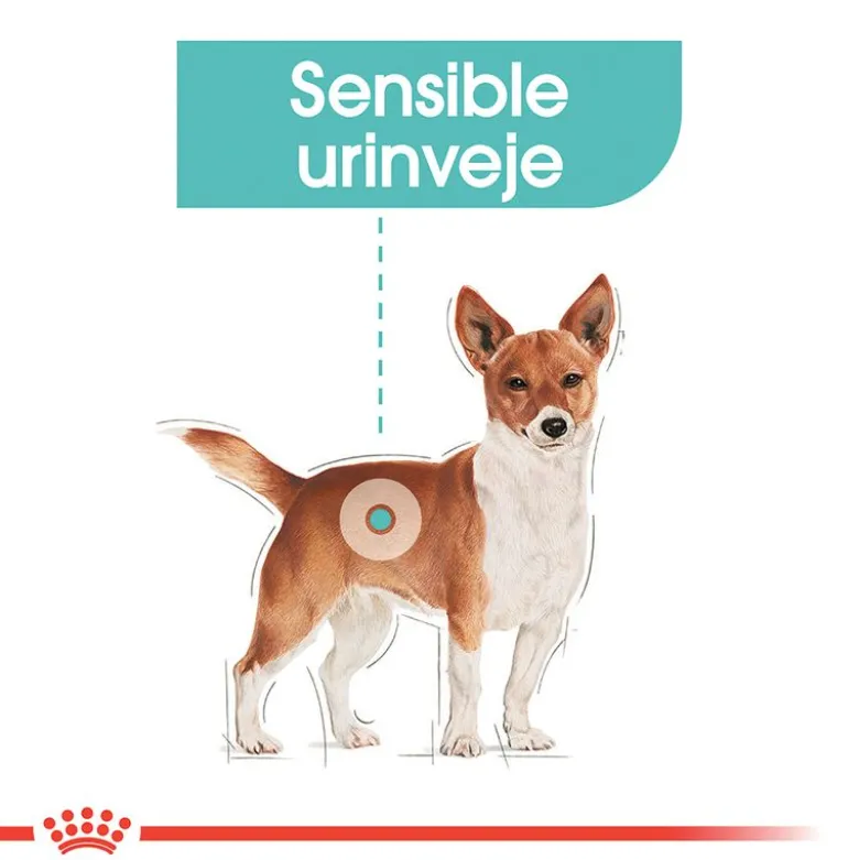 Royal Canin Urinary Care Mousse