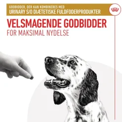 Royal Canin Urinary Snacks