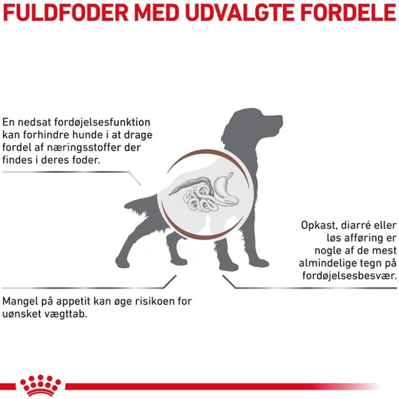 Royal Canin Veterinary Canine Gastrointestinal