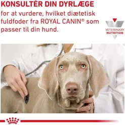 Royal Canin Veterinary Canine Gastrointestinal Low Fat