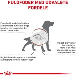 Royal Canin Veterinary Canine Gastrointestinal Low Fat