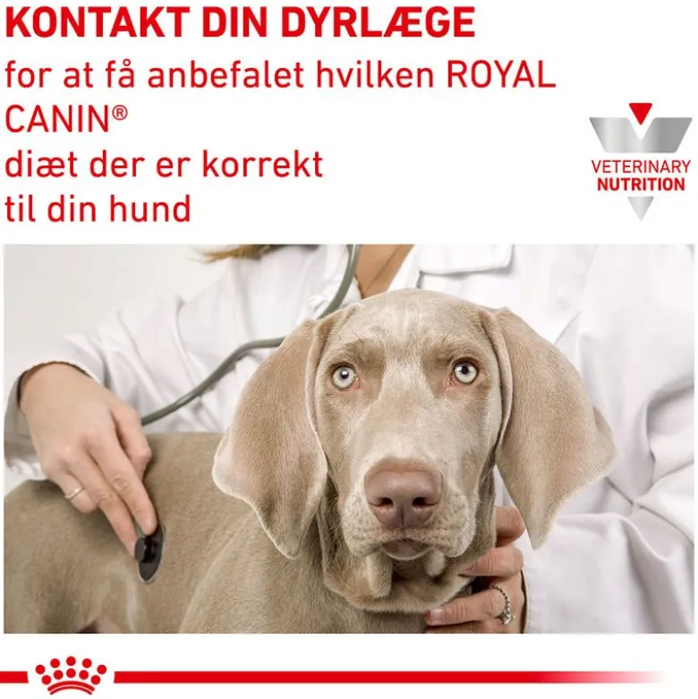 Royal Canin Veterinary Canine Urinary S/O