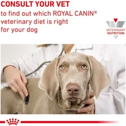 Royal Canin Veterinary Canine Anallergenic Small Dog