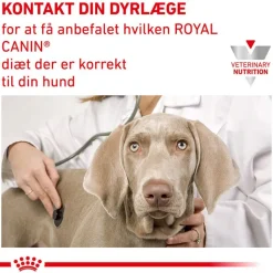 Royal Canin Veterinary Canine Urinary S/O Ageing 7+ Mousse